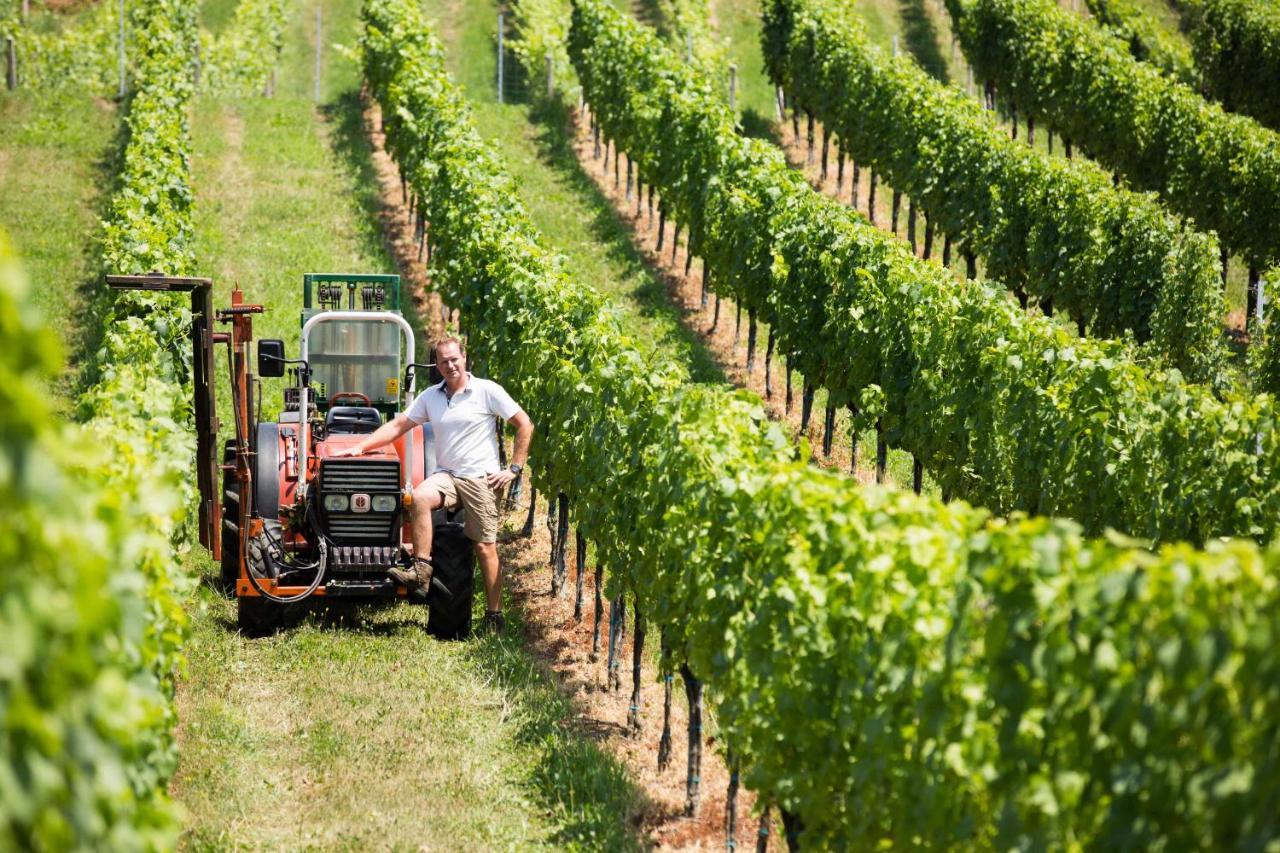 Weingut-Gaestezimmer Uhl Ratsch an der Weinstraße Екстериор снимка